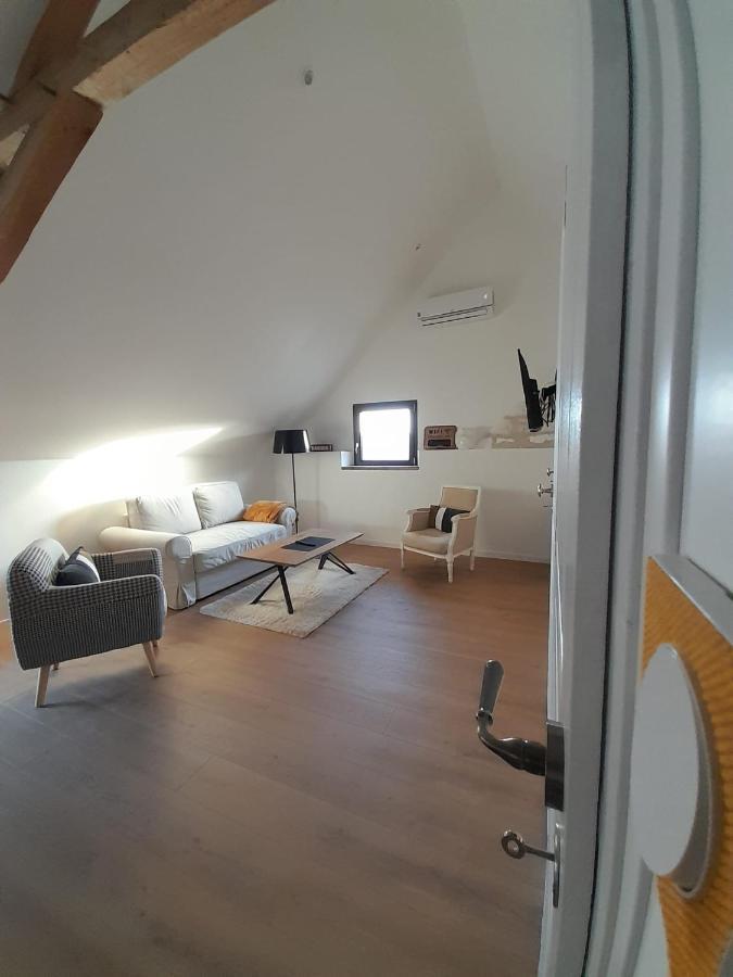 Apartamento Le Repaire De Bacchus Saint-Nicolas-de-Bourgueil Exterior foto