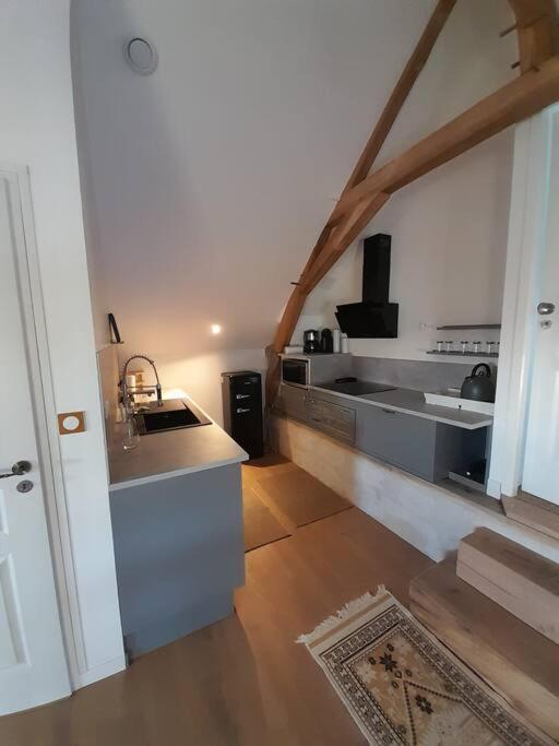 Apartamento Le Repaire De Bacchus Saint-Nicolas-de-Bourgueil Exterior foto
